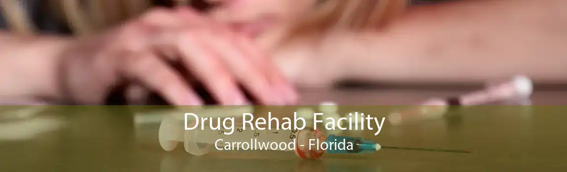 Drug Rehab Facility Carrollwood - Florida