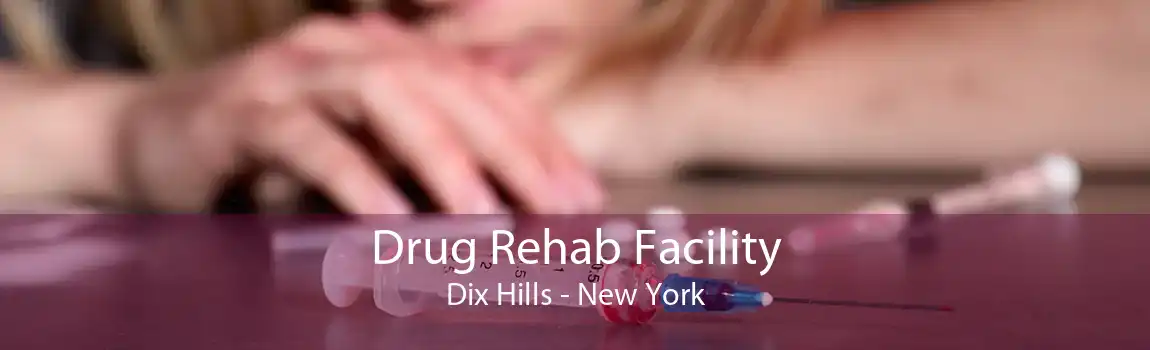 Drug Rehab Facility Dix Hills - New York