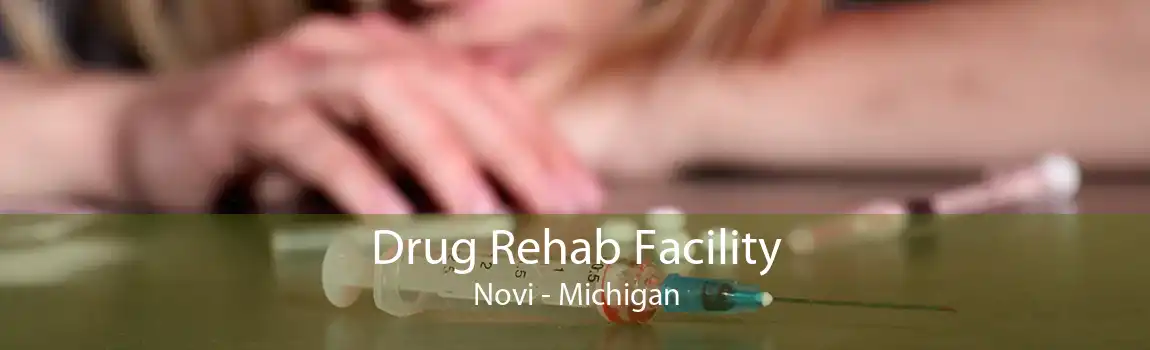 Drug Rehab Facility Novi - Michigan