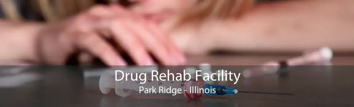 Drug Rehab Facility Park Ridge - Illinois