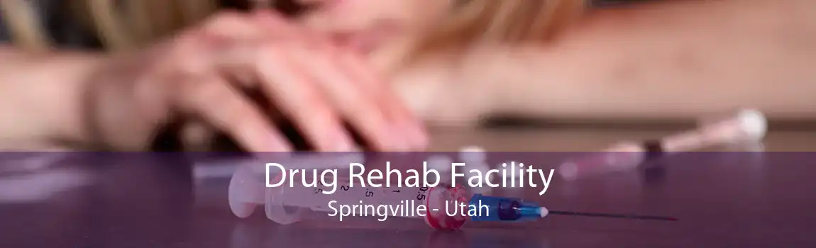 Drug Rehab Facility Springville - Utah