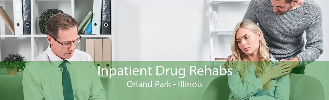Inpatient Drug Rehabs Orland Park - Illinois