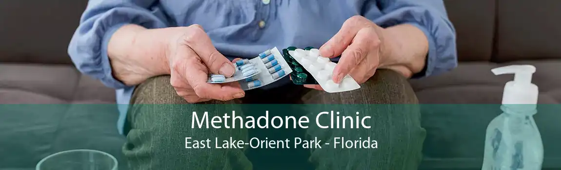 Methadone Clinic East Lake-Orient Park - Florida